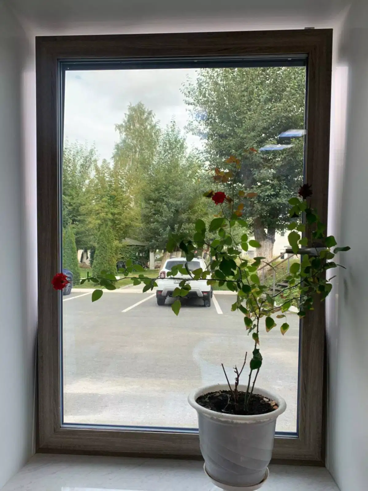 Пластиковые окна в офис